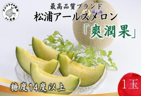 松浦アールスメロン「爽潤果(そうじゅんか)」1玉( メロン アールスメロン ブランド 人気 甘い 美味しい おいしい ギフト 期間限定 糖度14度以上 濃厚 芳醇 松浦 松浦市 長崎 長崎県 )【A8-032】