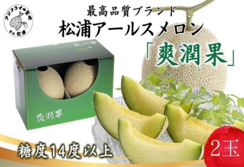 松浦アールスメロン「爽潤果(そうじゅんか)」2玉( メロン アールスメロン ブランド 人気 甘い 美味しい おいしい ギフト 期間限定 糖度14度以上 濃厚 芳醇 松浦 松浦市 長崎 長崎県 )【B4-109】