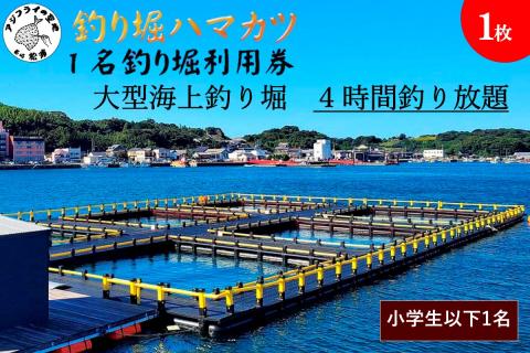 【釣り堀ハマカツ】1名釣り堀利用券(小学生以下1名)【C2-042】