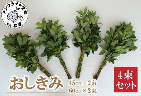 おしきみ4束セット【A7-066】