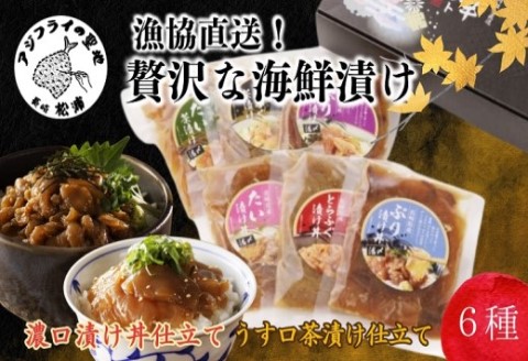 漁協直送！贅沢な海鮮漬け　6種(漬け丼と茶漬け味合わせ)【B2-200】