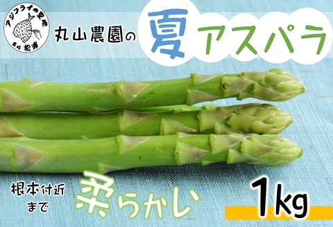 丸山農園の夏アスパラ1kg( アスパラガス アスパラ 野菜 夏野菜 やわらかい 手軽 松浦市 )【B0-162】