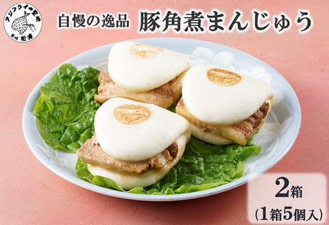 自慢の逸品、豚角煮まんじゅう2箱(1箱5個入り)( 角煮 角煮まんじゅう 豚角煮 角煮まん 個包装 中華 ギフト 贈り物 プレゼント 贈答 )【B5-076】