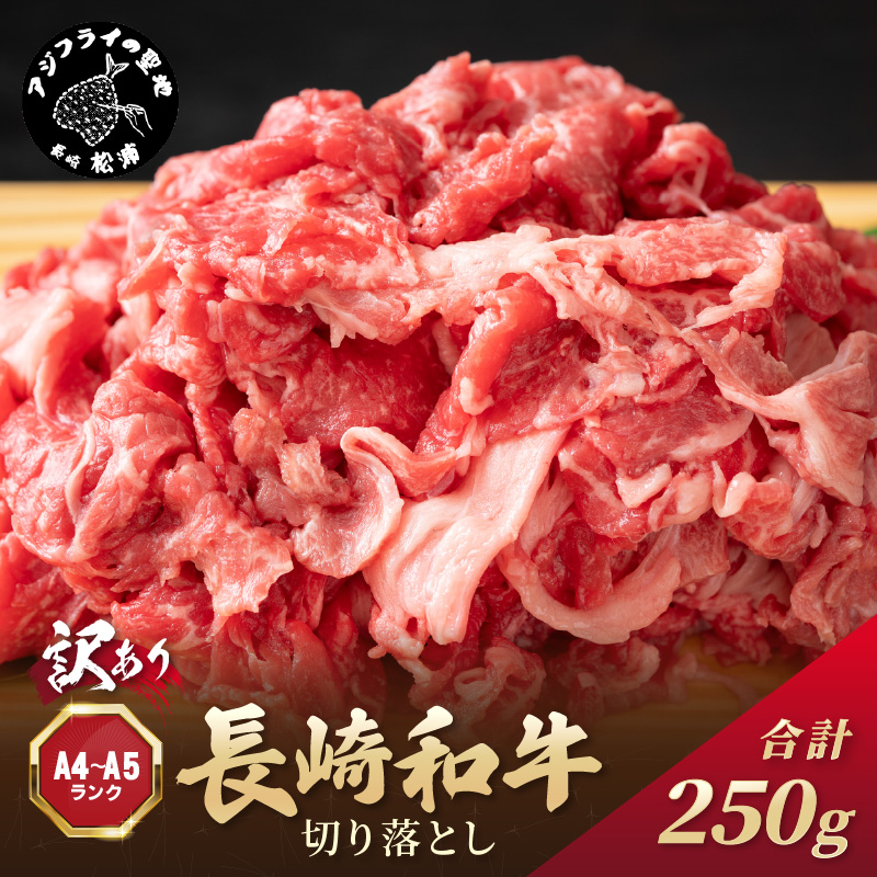 訳あり！【A4～A5】長崎和牛切り落とし250g( 牛肉 おすすめ 長崎和牛 バーベキュー 焼肉 切り落とし 冷凍 国産 送料無料 赤身 )【A6-036】