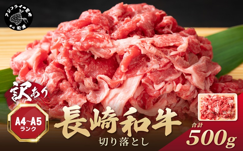 訳あり！【A4～A5】長崎和牛切り落とし500g( 牛肉 おすすめ 長崎和牛 バーベキュー 焼肉 切り落とし 冷凍 国産 送料無料 赤身 )【A9-057】