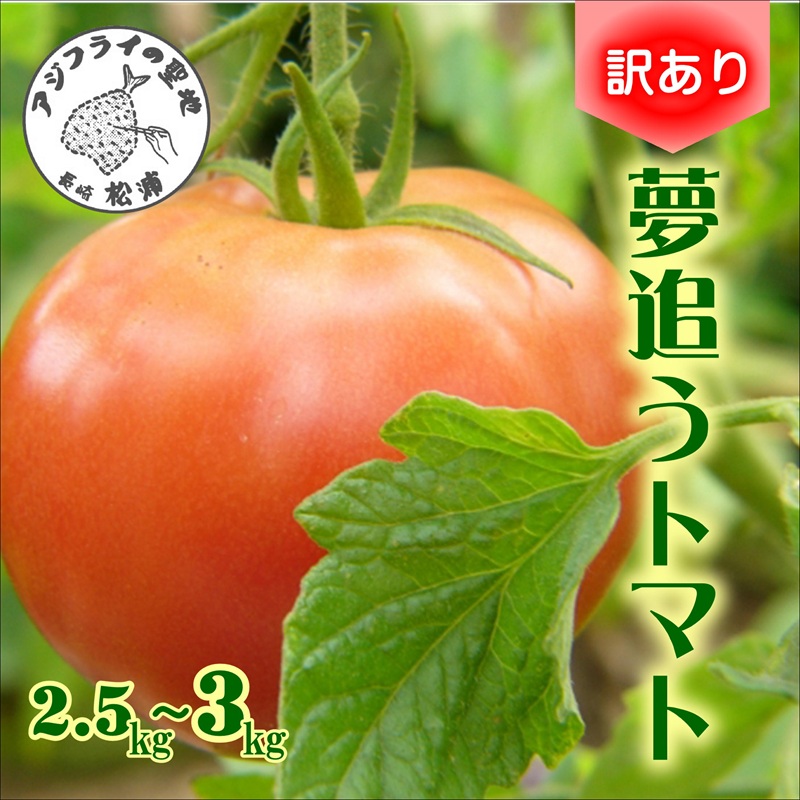 訳あり！ご家庭用に大活躍　夢追うトマト2.5kg～3kg( トマト とまと ジューシー リコピン 期間限定 松浦市 松浦産 大玉トマト 訳ありトマト )【A7-068】