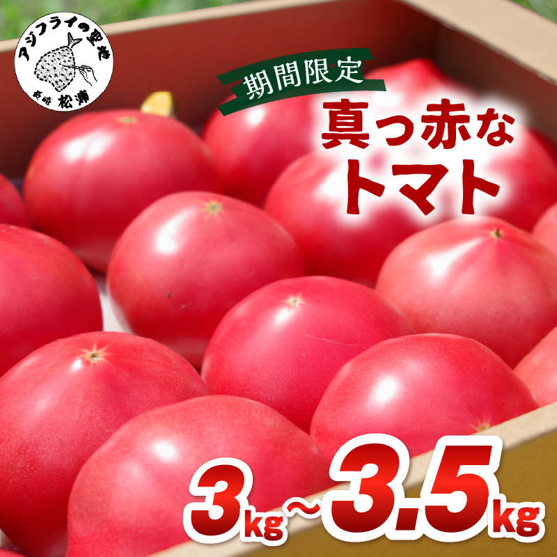 期間限定 真っ赤なトマト3kg～3.5kg【A9-015】