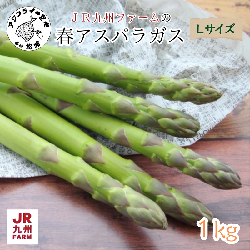 JR九州ファームの春アスパラガス　Lサイズ1kg( 野菜 新鮮 アスパラガス アスパラ 春アスパラ 甘み )【B0-211】