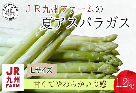 JR九州ファームの夏アスパラガス　Lサイズ1.2kg( アスパラガス アスパラ 夏アスパラ 野菜 甘み 柔らかい 松浦市 )【B0-212】