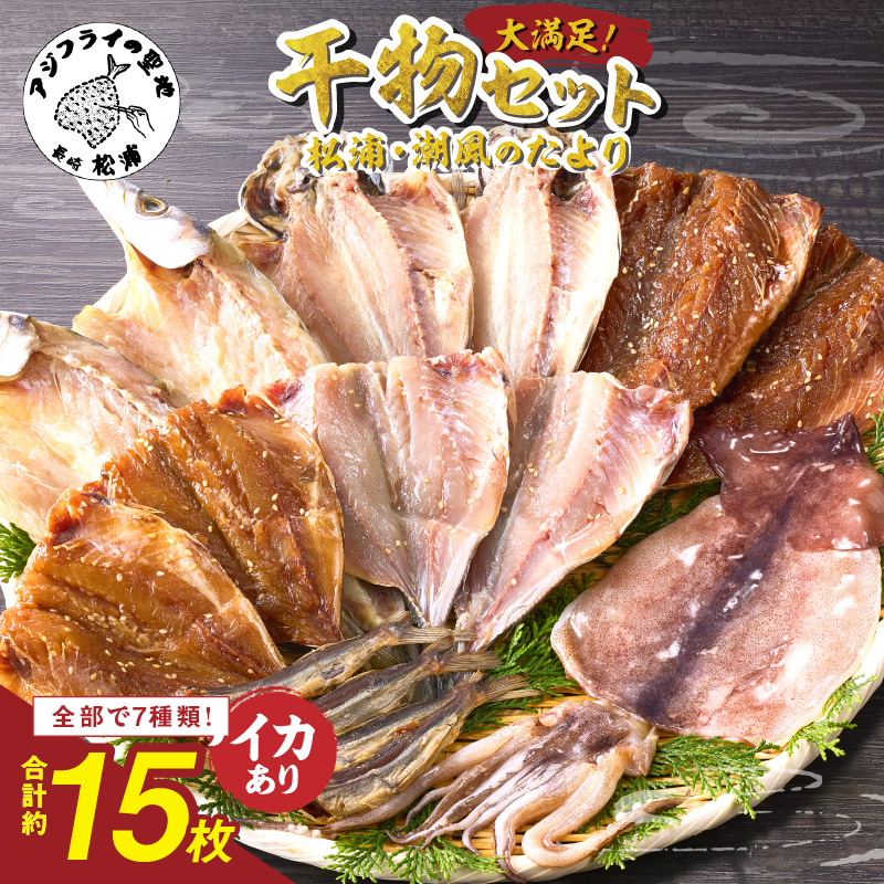 松浦・潮風のたより(イカあり)( 松浦市 サバ イカ アジ カマス 干物 アジ開き 一夜干し 詰め合わせ )【B0-150】