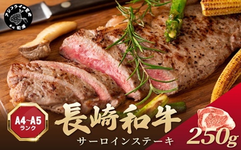 【A4～A5】長崎和牛サーロインステーキ 250g(250g×1枚)( 肉 牛肉 牛 長崎和牛 国産牛 サーロイン ステーキ ステーキ肉 お取り寄せ プレゼント ギフト 送料無料 人気 美味しい 返礼品 おすすめ )【B0-243】