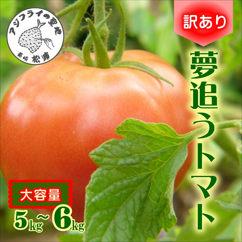 訳あり！ご家庭用に大活躍　夢追うトマト5kg～6kg( トマト とまと ジューシー リコピン 期間限定 松浦市 松浦産 大玉トマト 訳ありトマト )【B0-244】