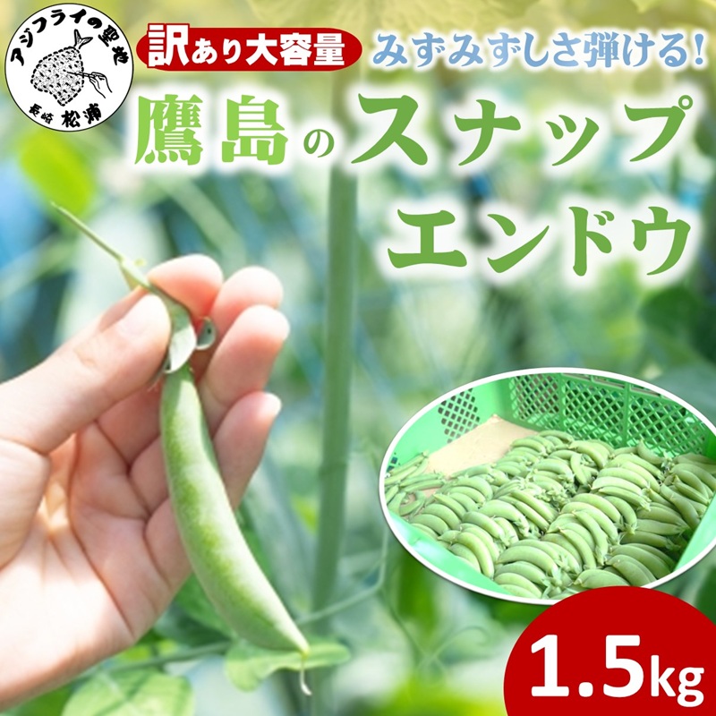 訳あり大容量！みずみずしさ弾ける!鷹島のスナップエンドウ 1.5kg ( 訳アリ えんどう エンドウ 豆 旬の野菜 野菜 新鮮 朝摘み )【B0-246】