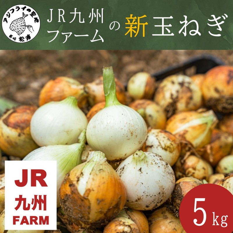 JR九州ファームの 新玉ねぎ 5kg( 玉ねぎ 甘い 野菜 新玉ねぎ 野菜 国産 送料無料 )【B0-247】