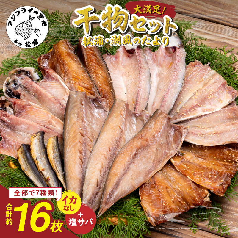 松浦・潮風のたより(イカなし＆サバ増量) ( 松浦市 サバ アジ カマス 干物 アジ開き 一夜干し 詰め合わせ )【B0-264】