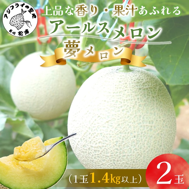 1.4㎏以上！大玉アールスメロン　夢メロン2玉入り( メロン 大玉 夢メロン アールスメロン )【B0-202】
