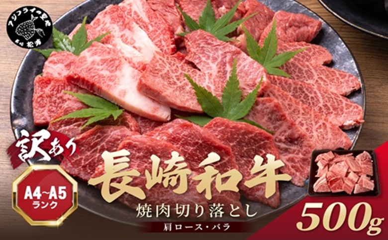 訳あり！【A4～A5】長崎和牛焼肉切り落とし(肩ロース・バラ)500g( 牛肉 おすすめ 長崎和牛 バーベキュー 焼肉 切り落とし 冷凍 国産 送料無料 )【B1-188】