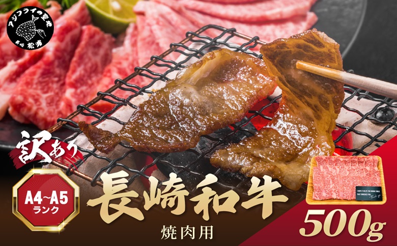 訳あり！【A4～A5】長崎和牛焼肉用 500g( 牛肉 牛 和牛 国産 焼肉 おすすめ 赤身 美味しい バーベキュー プレゼント ギフト 送料無料 お取り寄せ )【B2-205】