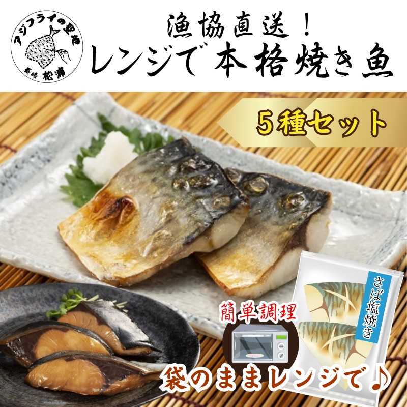 漁協直送！レンジで本格焼き魚5種セット【B3-077】