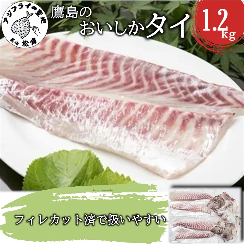 鷹島のおいしかタイ1.2kg( 鯛 お刺身 煮つけ 塩焼き 様々な料理 アラ付き )【B5-098】