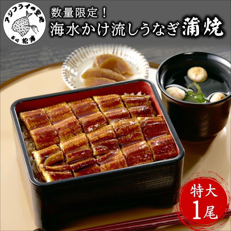 数量限定！海水かけ流しうなぎ蒲焼　特大サイズ1尾【B5-103】