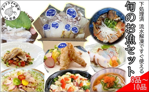 飛龍丸漁師直伝　下処理不要！流水解凍ですぐ使える旬のお魚セット( アジ イカ タコ なめろう 下処理済 小分け )【B5-105】