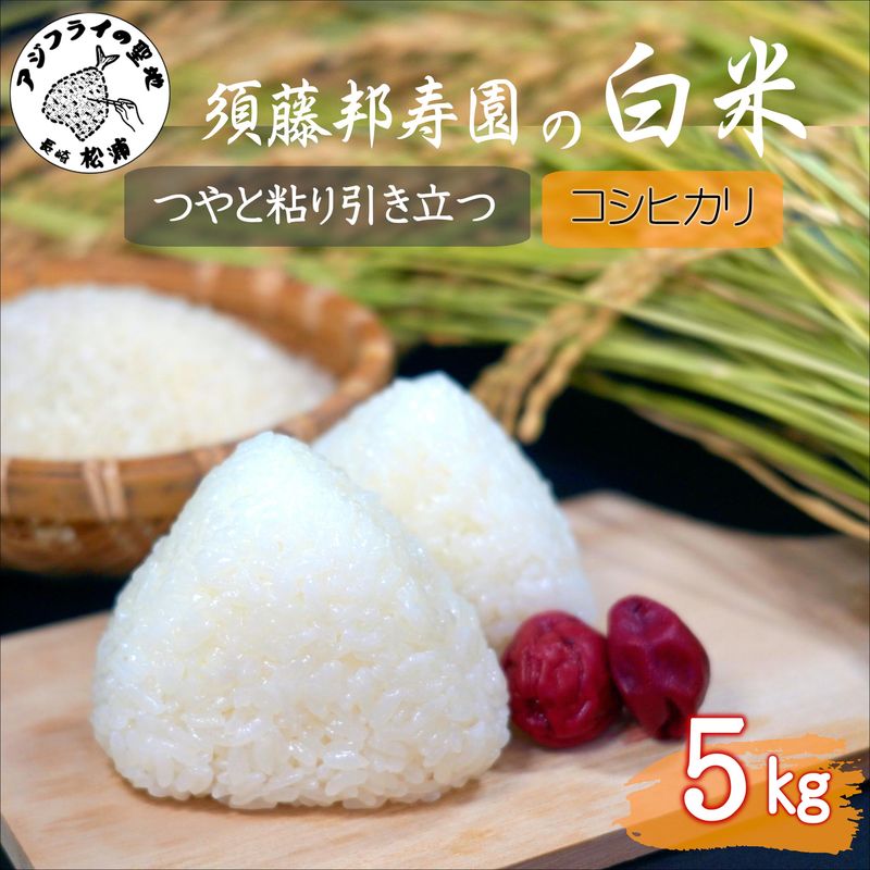 【令和7年産】須藤邦寿園の白米 コシヒカリ5kg( 米 コメ お米 コシヒカリ こしひかり 5kg 5キロ 甘い 甘み 粘り 精米 国産 送料無料 )【B6-051】
