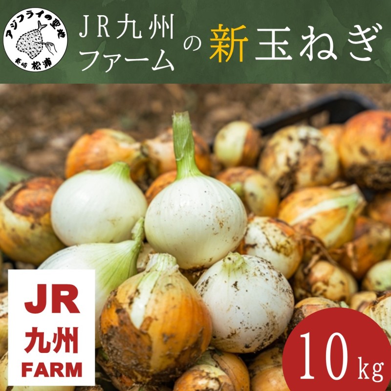 JR九州ファームの 新玉ねぎ 10kg( 玉ねぎ 甘い 野菜 新玉ねぎ 野菜 国産 送料無料 )【B7-036】