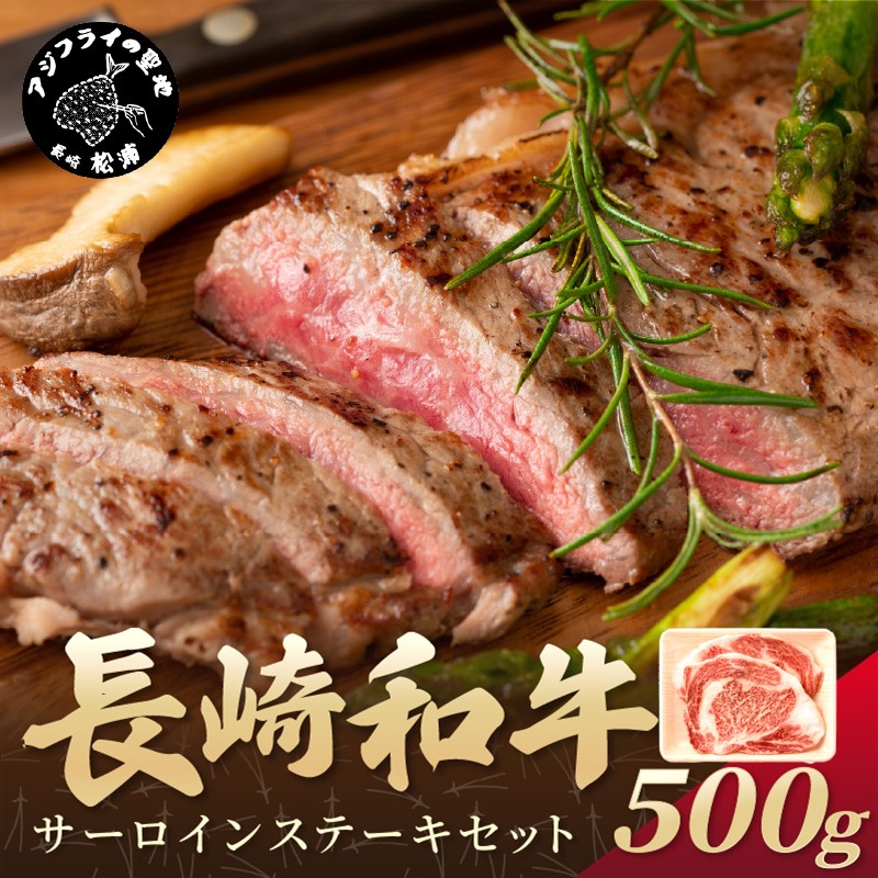 【A4～A5】長崎和牛サーロインステーキセット 500g(250ｇ×2枚)( 肉 牛肉 牛 長崎和牛 国産牛 サーロイン ステーキ ステーキ肉 お取り寄せ プレゼント ギフト 送料無料 人気 美味しい 返礼品 おすすめ )【B6-047】