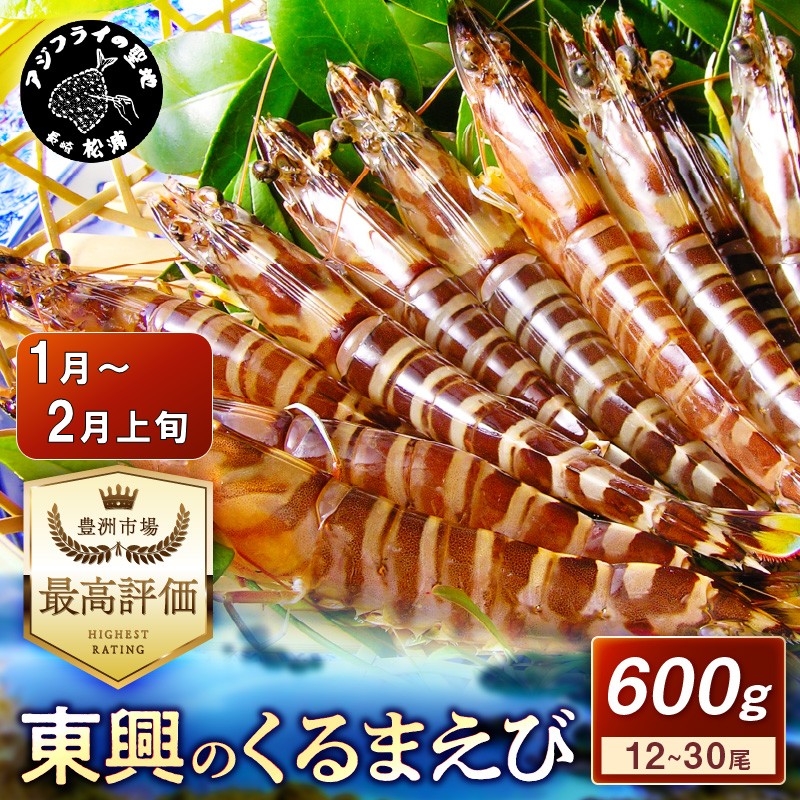 【宅配BOX不可】東興のくるまえび600g入【1月～2月上旬発送】( くるまえび 東興のくるまえび 車海老 海老 エビ )【C2-041-01M】