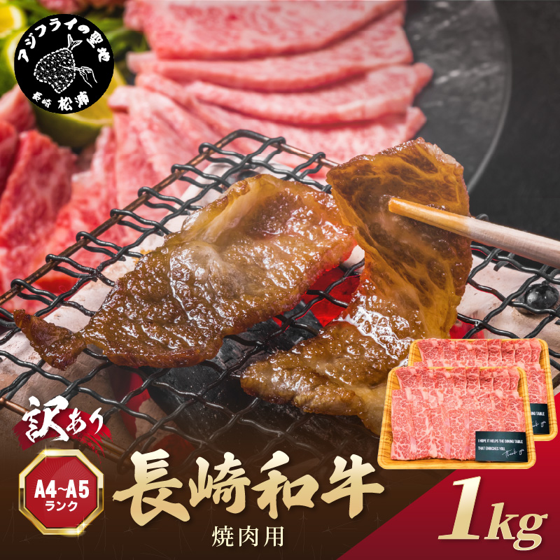 訳あり！【A4～A5】長崎和牛焼肉用 500g×2P( 牛肉 牛 和牛 国産 焼肉 おすすめ 赤身 美味しい バーベキュー プレゼント ギフト 送料無料 お取り寄せ )【C2-050】