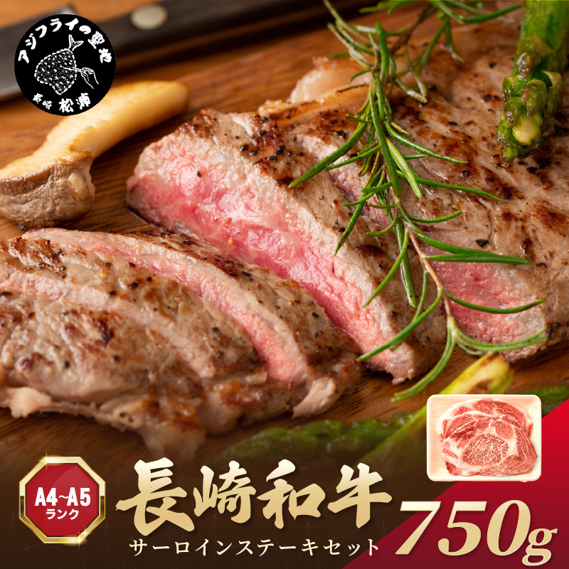 【A4～A5】長崎和牛サーロインステーキセット 750g(250ｇ×3枚)( 肉 牛肉 牛 長崎和牛 国産牛 サーロイン ステーキ ステーキ肉 お取り寄せ プレゼント ギフト 送料無料 人気 美味しい 返礼品 おすすめ )【C4-029】