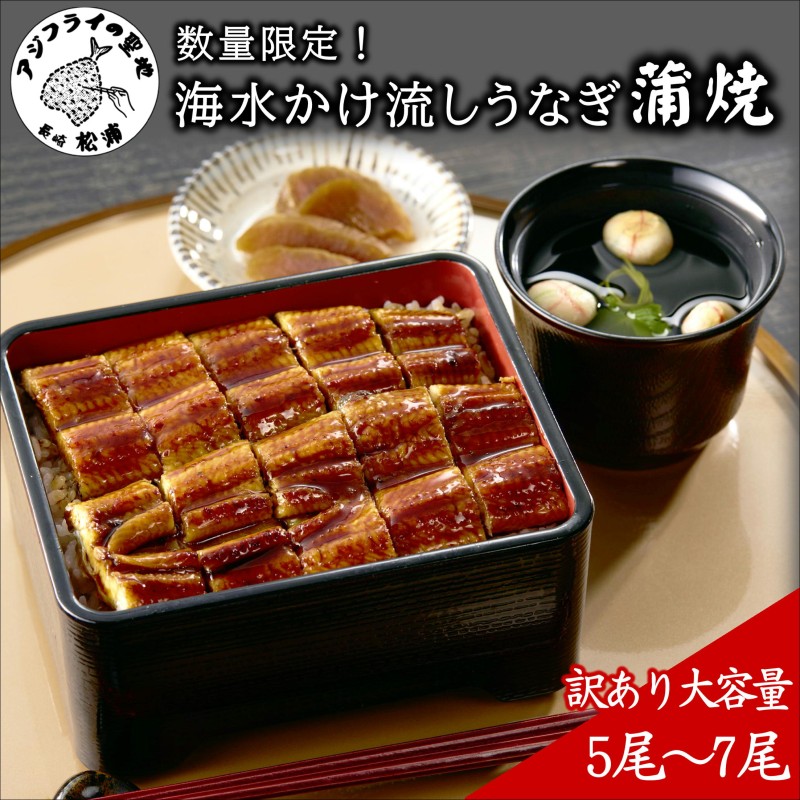 訳あり大容量！海水かけ流しうなぎ5尾～7尾【F0-016】