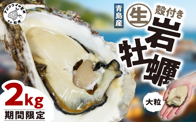 [期間限定]青島産 大粒殻付き生岩ガキ 2kg( カキ 牡蠣 岩ガキ 青島産 国産 期間限定 お取り寄せ )