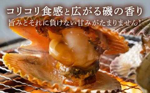 対馬 2枚貝 ヒオウギ 貝 2kg [WAD002]