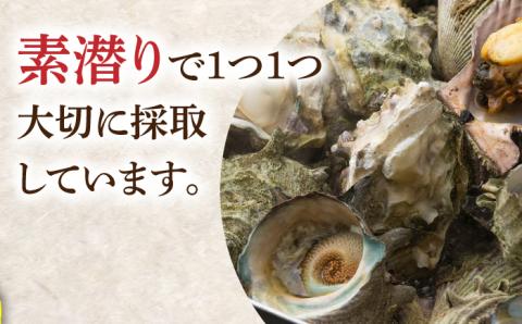 対馬 蒸し貝 缶セット 計約2kg [WAD007]