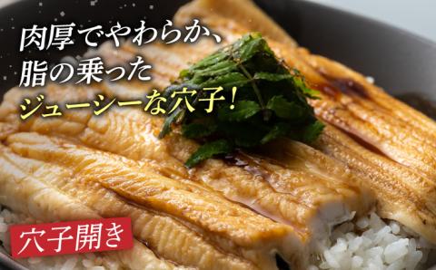 対馬穴子セット [WAD022]