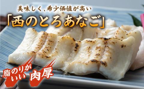 対馬産 穴子 詰め合わせ 5PAC [WAV001]