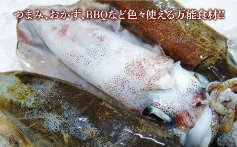 【ふるさと納税】つしま 久和の イカ とんちゃん（ アオリイカ バージョン） 4パック《対馬市》【ゆうなぎ対馬】 新鮮 海鮮 BBQ イカ おつまみ 惣菜 冷凍 [WAG019]