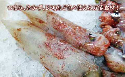 【ふるさと納税】つしま 久和の イカ とんちゃん （剣先イカ バージョン） 4パック《対馬市》【ゆうなぎ対馬】 いか 剣先イカ おつまみ 惣菜 冷凍 [WAG020]