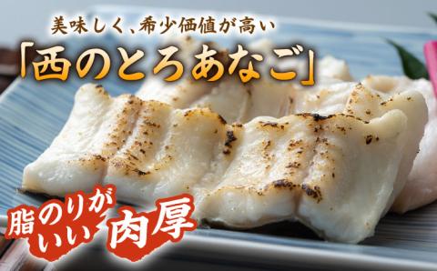 対馬産 穴子 詰め合わせ 15PAC [WAV003]