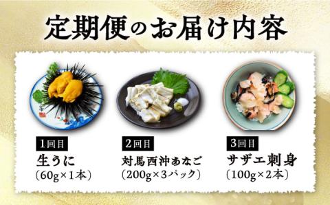 【全3回定期便】対馬産 海の幸定期便 《対馬市》【保家商事】 ウニ うに 穴子 アナゴ サザエ 刺身 海鮮 [WAA013]