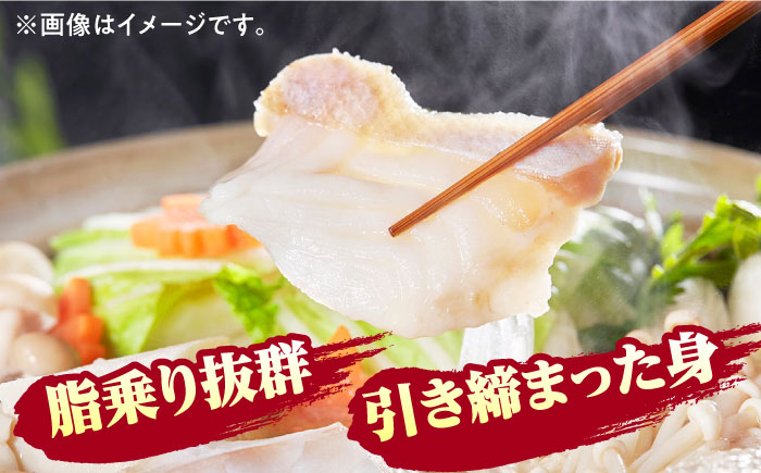 【迷ったらコレ！】対馬産 幻の高級魚 クエ 500g《対馬市》【保家商事】 冷凍配送 くえ アラ 切身 海鮮 鮮魚 魚介[WAA004]