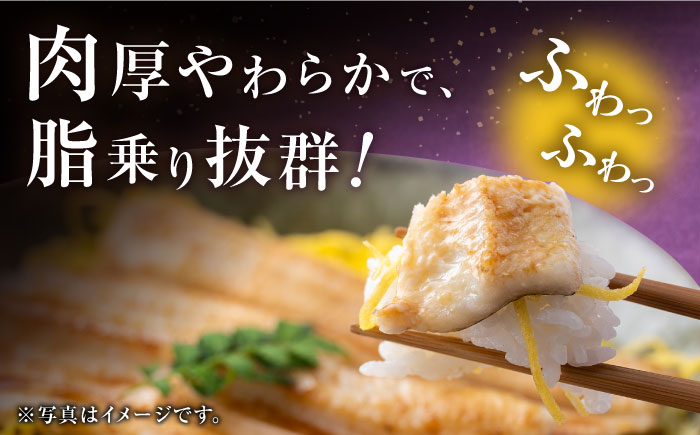 対馬産 西沖あなご 200g×3パック《対馬市》【保家商事】 あなご 穴子 アナゴ 海鮮 海産物 魚介 [WAA005]