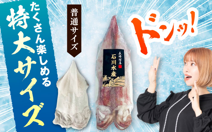 【12/25入金分まで年内発送】【特大】 剣先 イカ （ 生 冷凍 ）2枚 《対馬市》【石川水産】刺身 塩辛 鮮度抜群 海鮮 [WAB027]