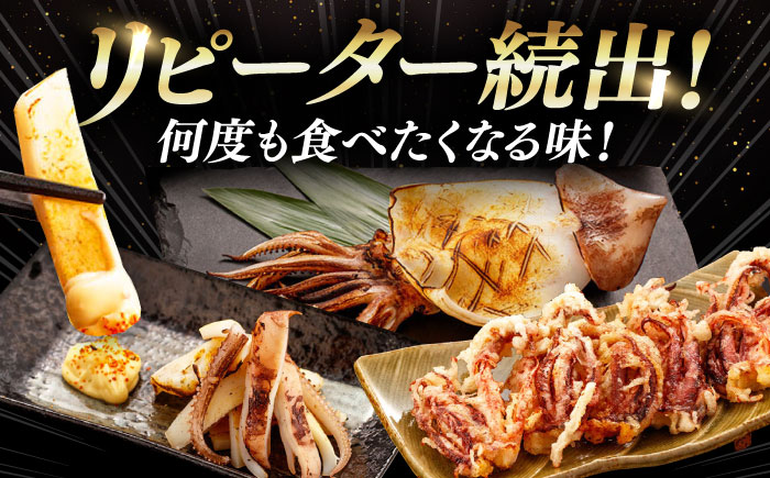 【12/23入金分まで年内発送】するめいか一夜干しセット [WAC006]