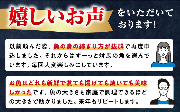 対馬 活〆 島魚セット 3.5～4kg《対馬市》【対馬地域商社】九州 長崎 鮮魚 [WAC007]新鮮 鮮度 直送 冷蔵 鮮魚 刺身 海鮮 魚介 鯛めし 煮付け 魚 ぶり まぐろ 刺し身 定置網 おかず 一品 味噌汁 塩焼き お祝い 鮪 マグロ