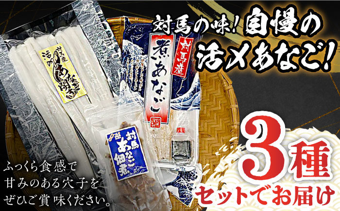 【全3回定期便】対馬 産 活〆 あなご セット《対馬市》【対馬地域商社】九州 長崎 煮あなご 佃煮 アナゴ [WAC018]