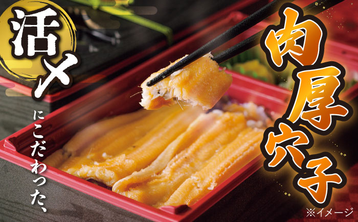 【全12回定期便】対馬 煮あなご膳 セット《対馬市》【対馬地域商社】九州 長崎 アナゴ [WAC038]