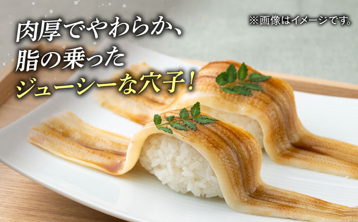 【全12回定期便】対馬 穴子 開き 800g《対馬市》【海風商事】アナゴ 国産 九州 長崎 [WAD031]